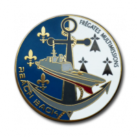 FIA - Military Golden Coin with a Coloured Face