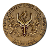 Customized Medals - Colours - Coloured Details on a Bronze Finished Medal