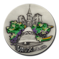 Customized Medals - Colours - Coloured Details on a Silver Plated Medal