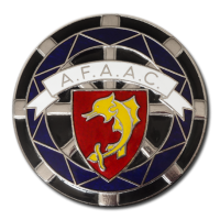 Customized Medals - Colours - Car Plate with Real Hard Enamel Colours