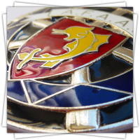 Customized Medals - Colours - Car Plate with Real Hard Enamel Colours - Zoom